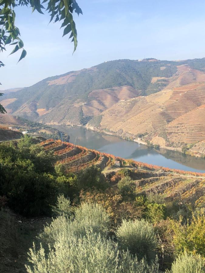 Castas Do Douro Villa Tabuaço Eksteriør bilde